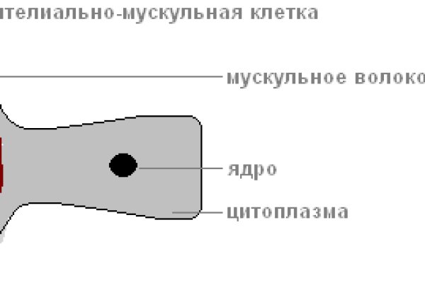 Как найти сайт кракен