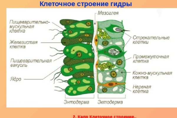 Сайты наркоты