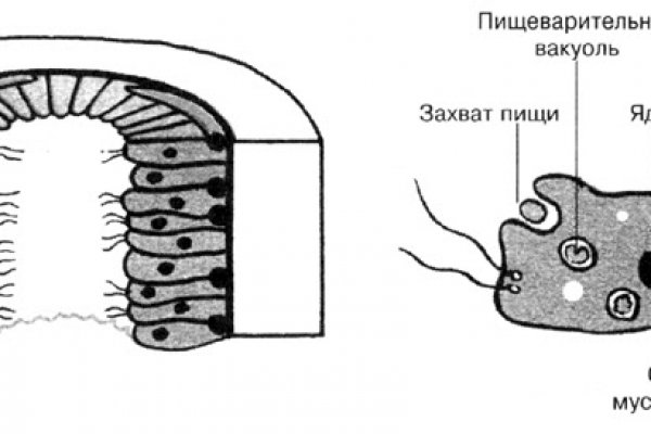 Не могу зайти на кракен
