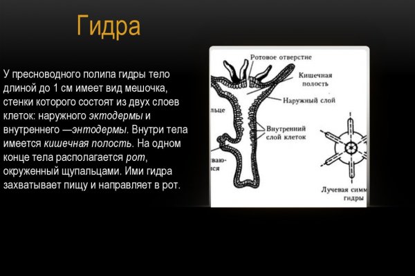 Гидра в даркнете