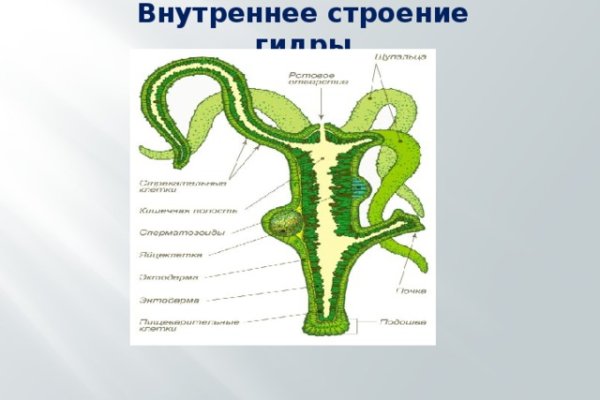 Можно вывести деньги с кракена