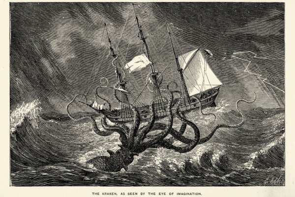 Kraken tor link